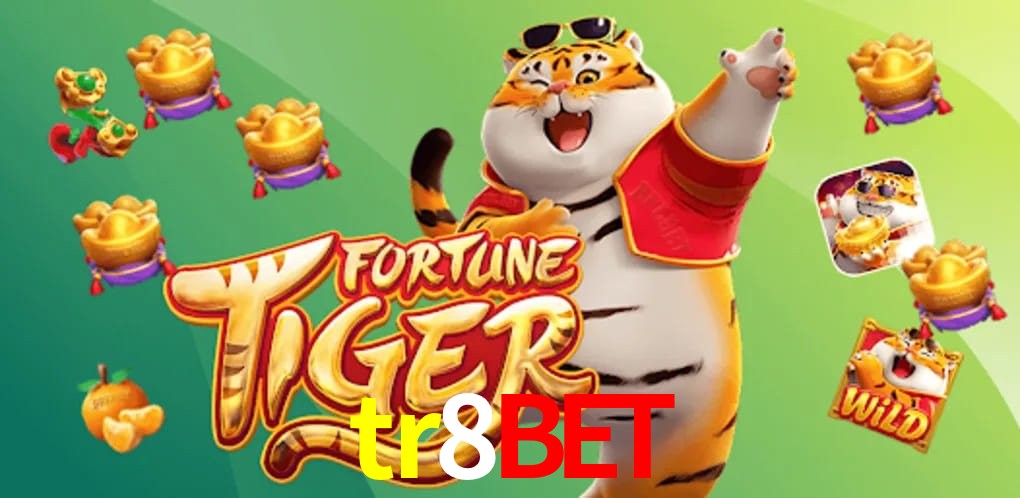 Experiência VIP tr8bet