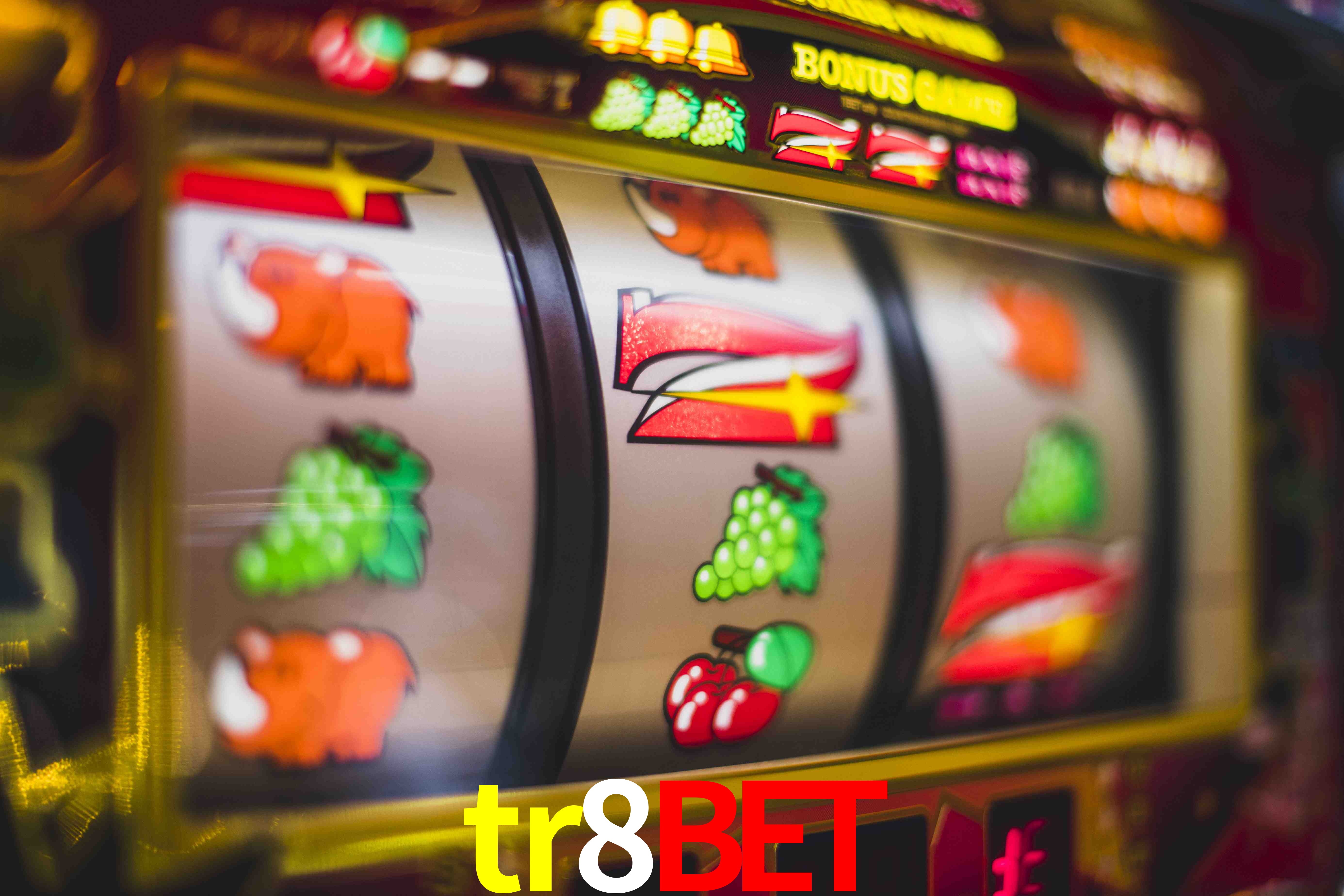 Basketball Betting tr8bet